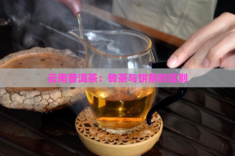 云南普洱茶：砖茶与饼茶的区别