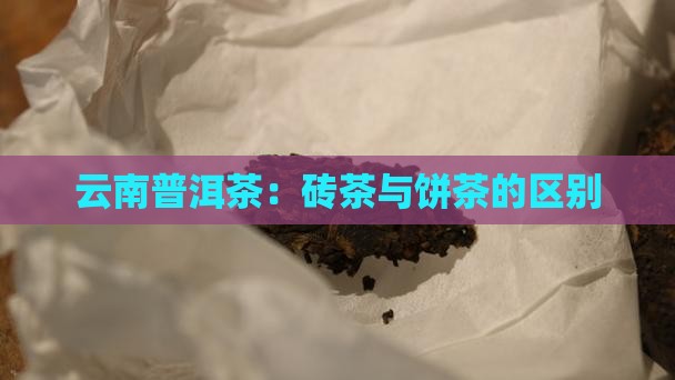 云南普洱茶：砖茶与饼茶的区别