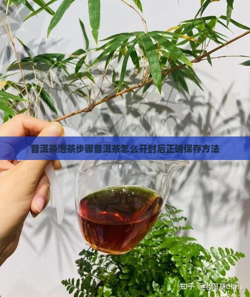 普洱茶泡茶步骤普洱茶怎么开封后正确保存方法