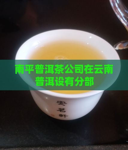 南平普洱茶公司在云南普洱设有分部