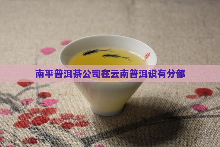 南平普洱茶公司在云南普洱设有分部