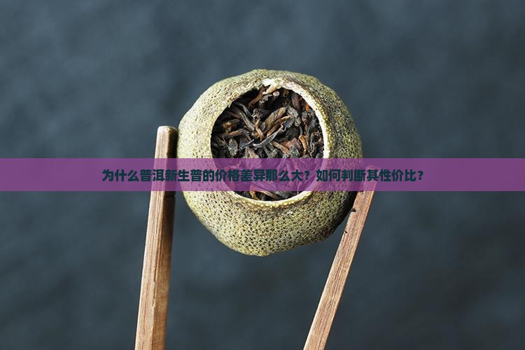 为什么普洱新生普的价格差异那么大？如何判断其性价比？