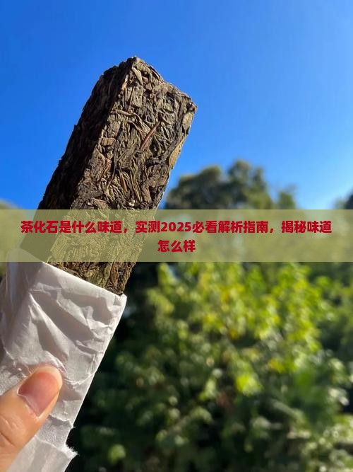 茶化石是什么味道