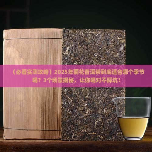 菊花普洱茶适合什么季节喝