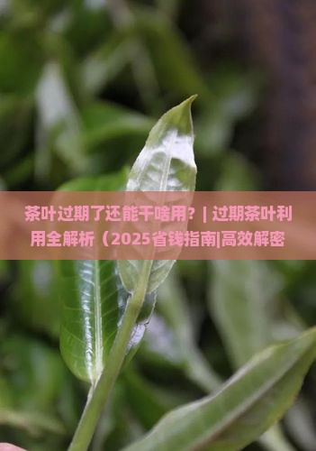 茶叶过期了还能干啥用