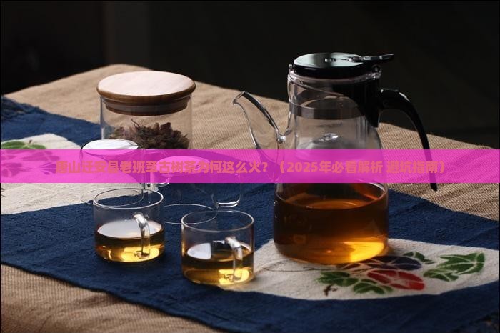 唐山迁安县老班章古树茶