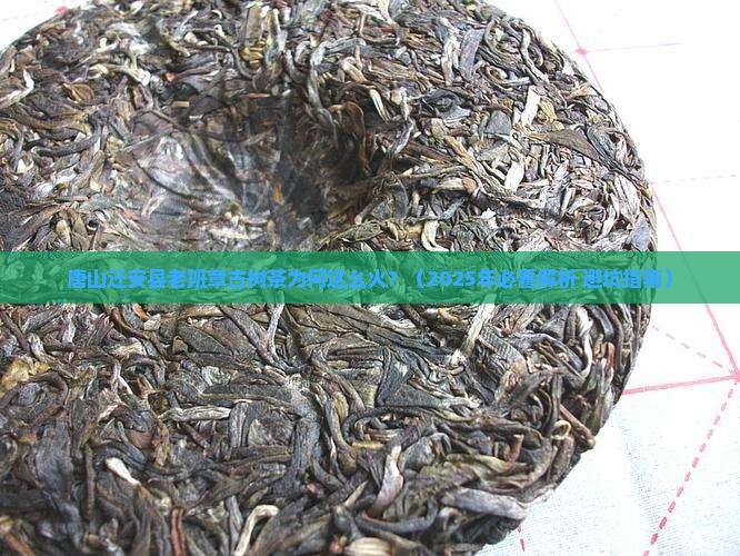 唐山迁安县老班章古树茶