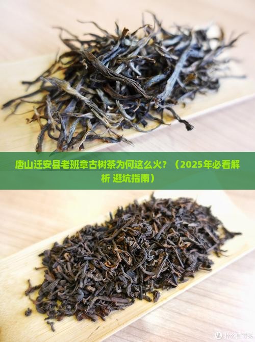 唐山迁安县老班章古树茶