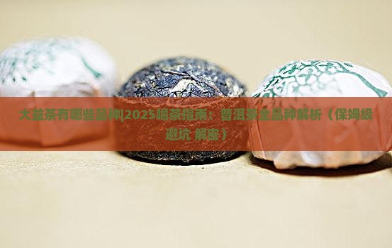 大益茶有哪些品种