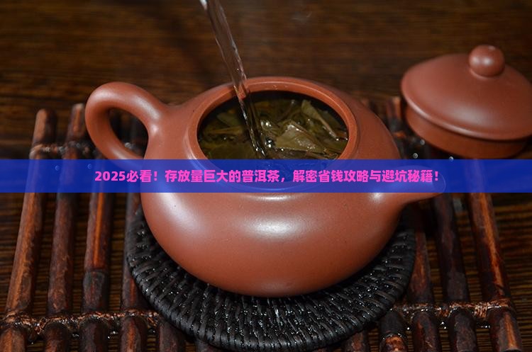 存放量巨大的普洱茶