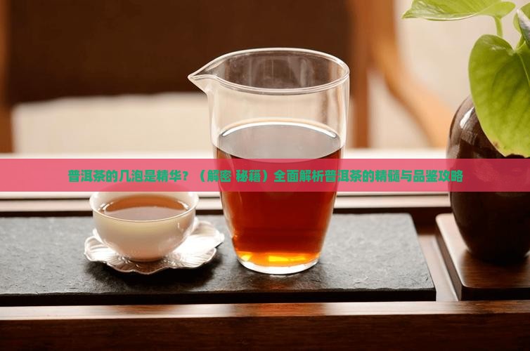 普洱茶的几泡是精华