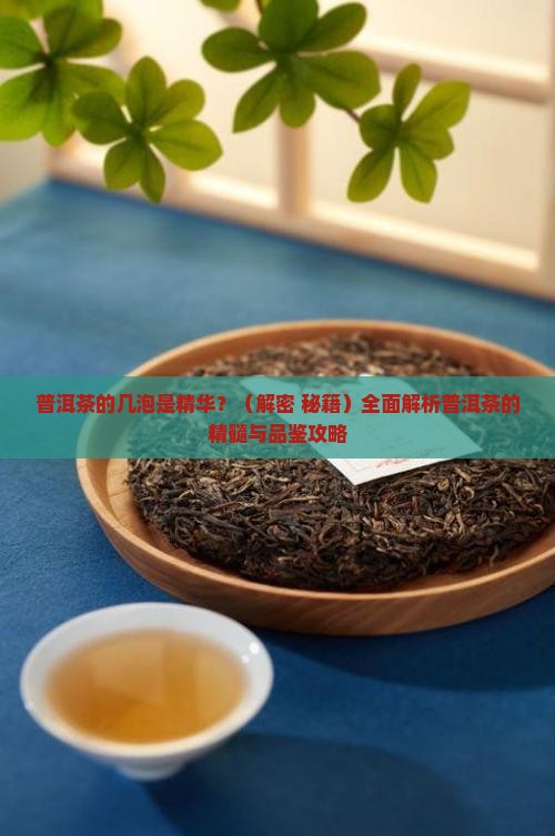 普洱茶的几泡是精华