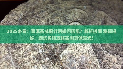 普洱茶和什么减肥计划一起喝