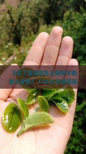买了普洱茶怎么储存好喝
