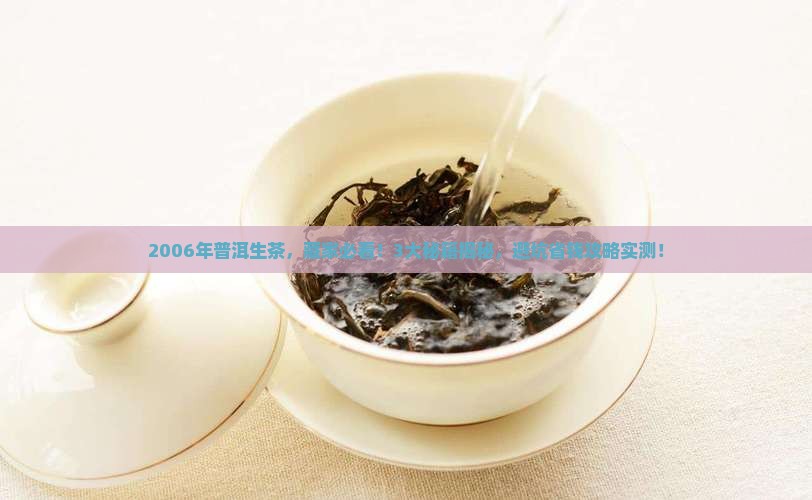 普洱茶生茶2006年