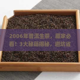 普洱茶生茶2006年