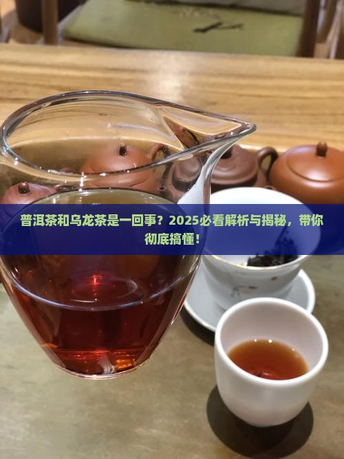 普洱茶算乌龙茶吗