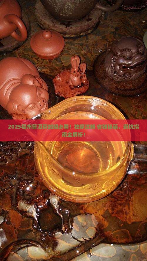 福州普洱茶怎么加盟