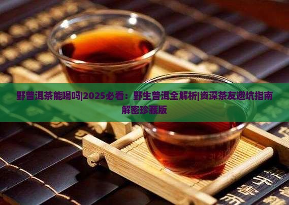 野普洱茶能喝吗