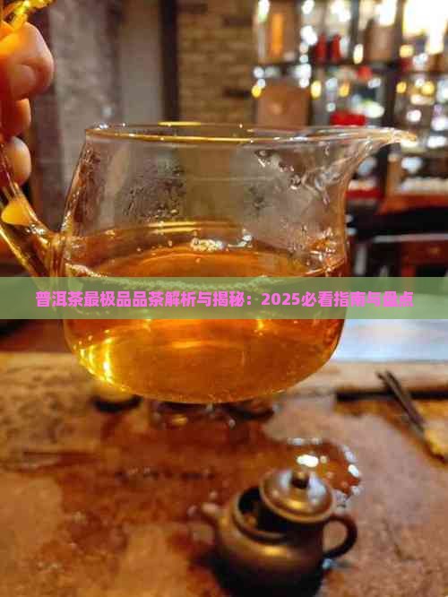 普洱茶最极品品茶