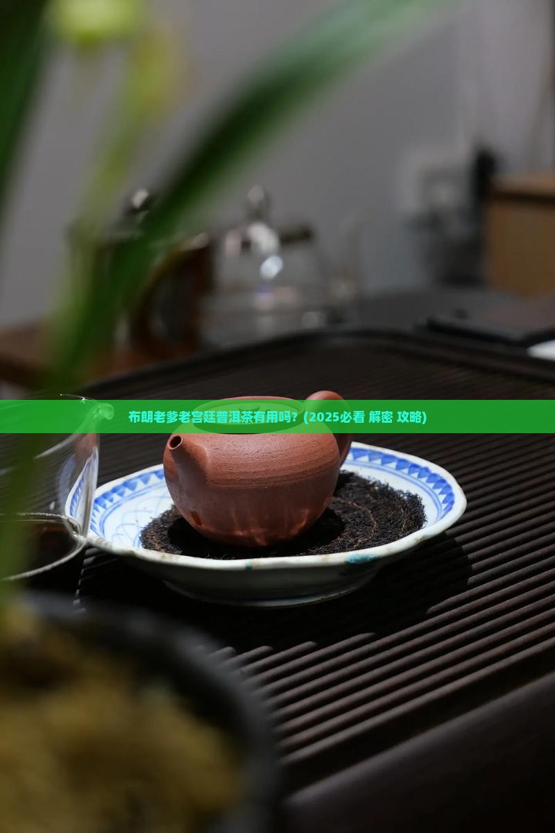 布朗老爹老宫廷普洱茶