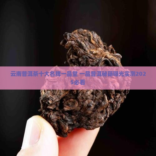 普洱茶十大名牌一品堂