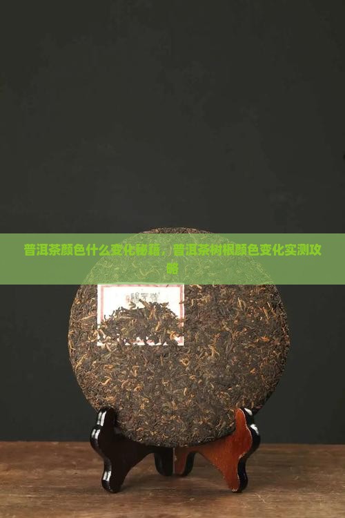 普洱茶的树根颜色变化过程