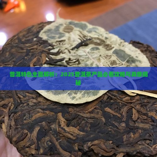 普洱的特色有什么