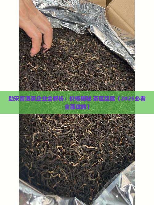 勐宋普洱茶企业 勐宋普洱茶企业