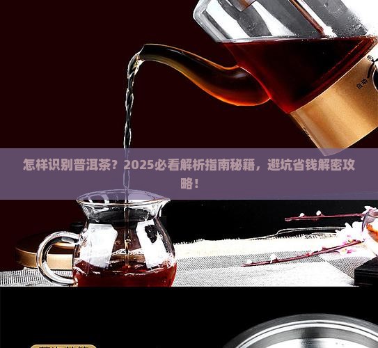 怎样识别普洱茶