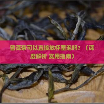 普洱茶可以直接放杯里泡吗