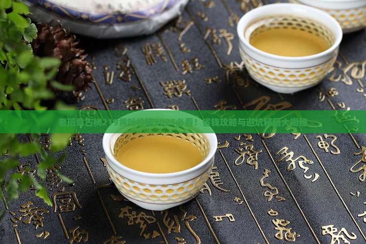 老班章古树219黄叶价格
