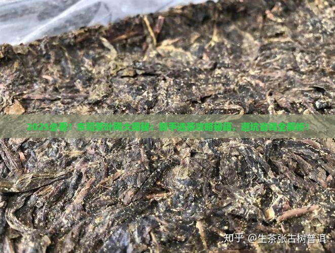 东和茶叶网大东和茶叶网