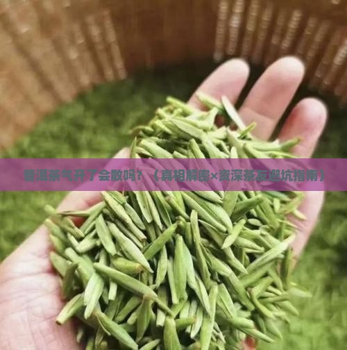 普洱茶气开后会散开吗