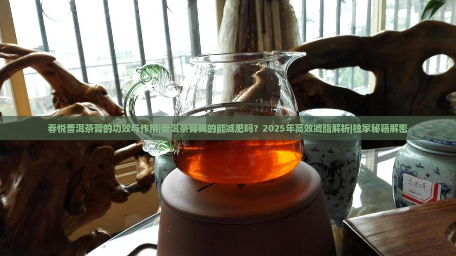 春悦普洱茶膏的功效与作用