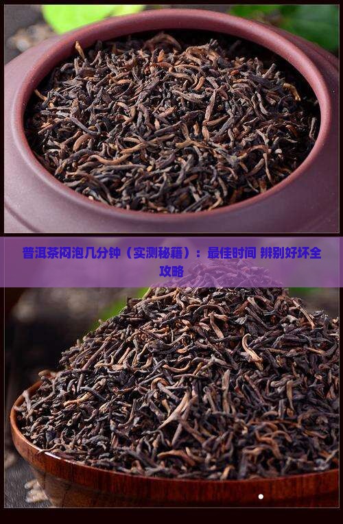 普洱茶闷泡几分钟