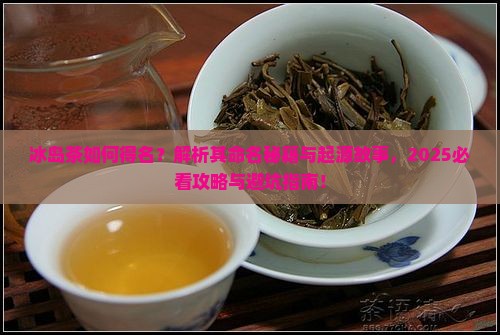 冰岛茶如何得名