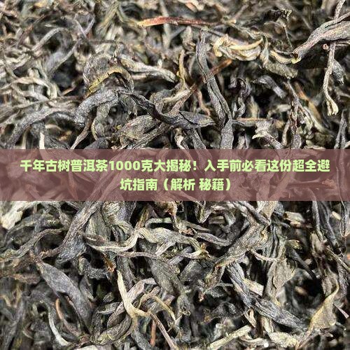 千年古树普洱茶1000克