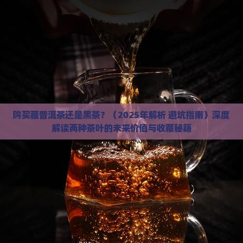 购买藏普洱茶还是黑茶
