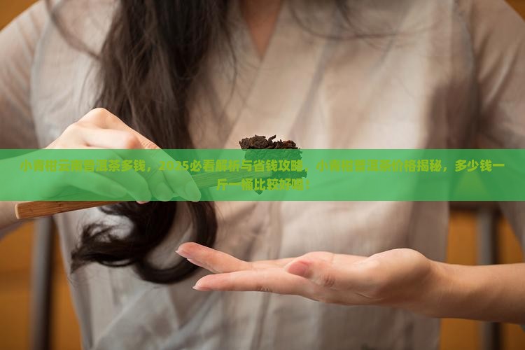 小青柑云南普洱茶多钱