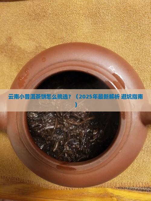 云南小普洱茶饼