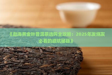 勐海黄金叶普洱茶