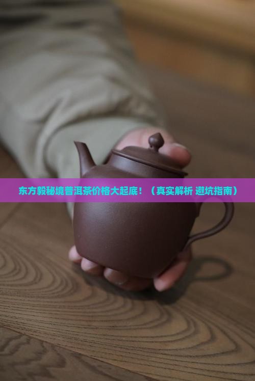 东方毅秘境普洱茶价格