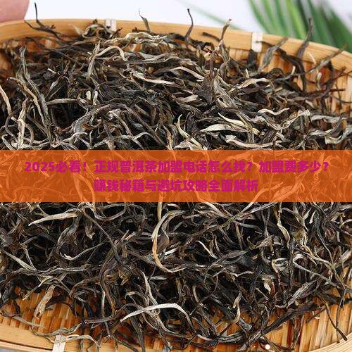 正规普洱茶加盟电话