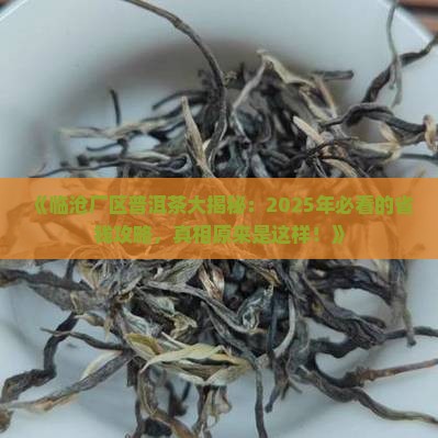 临沧厂区普洱茶