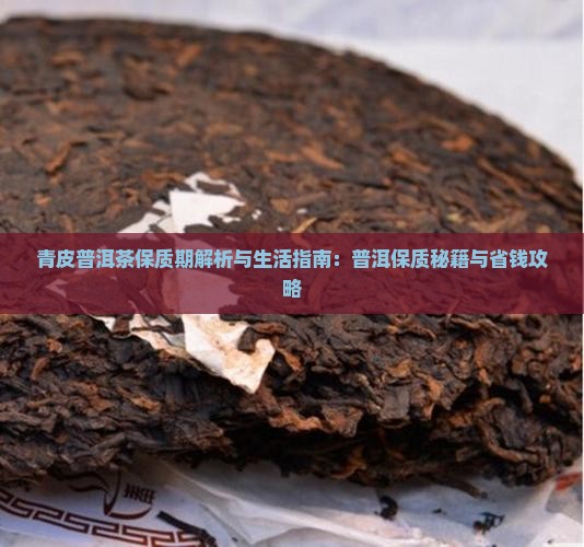 青皮普洱茶保质期