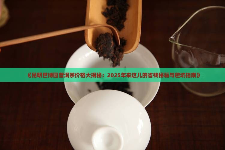 昆明世博园普洱茶价格查询