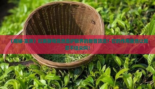 红茶酵母对皮肤的作用