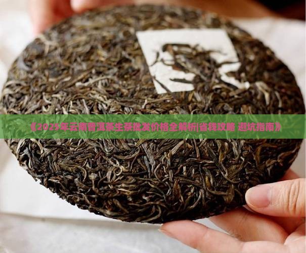 云南普洱茶的生茶