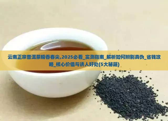 云南正宗普洱茶糯香春尖